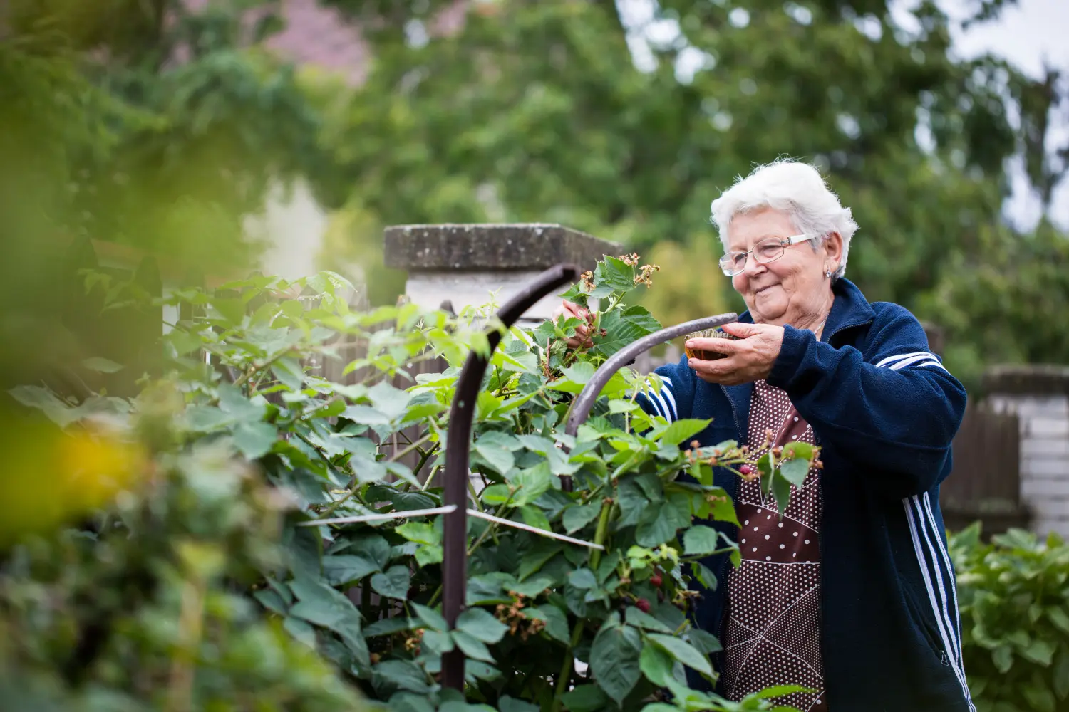 Ergotherapie und Gartentherapie